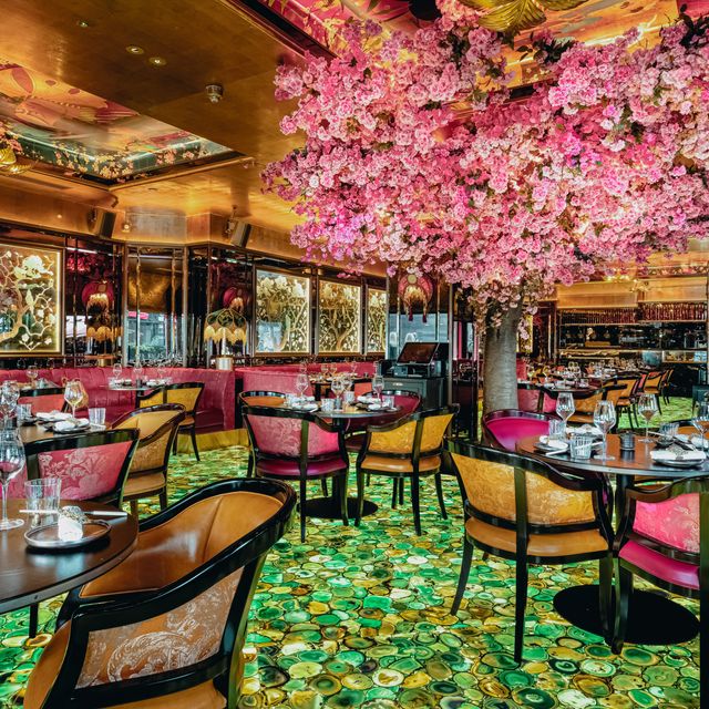 The Ivy Asia, Mayfair Restaurant London, , Greater London OpenTable