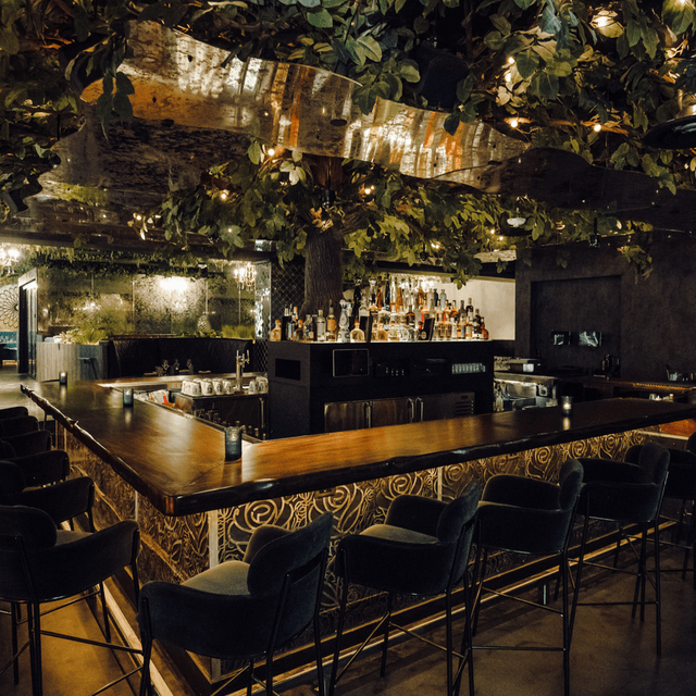 La Neta Cocina Y Lounge Dallas Restaurant Dallas, TX OpenTable