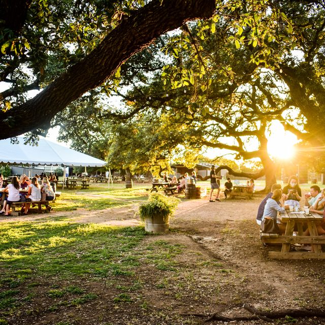 Alice's Restaurant at Treaty Oak Distilling Updated 2024, Barbecue