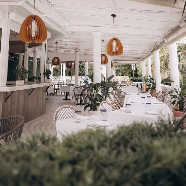 Rima Miami Updated 2024, Mediterranean Restaurant in Miami, FL