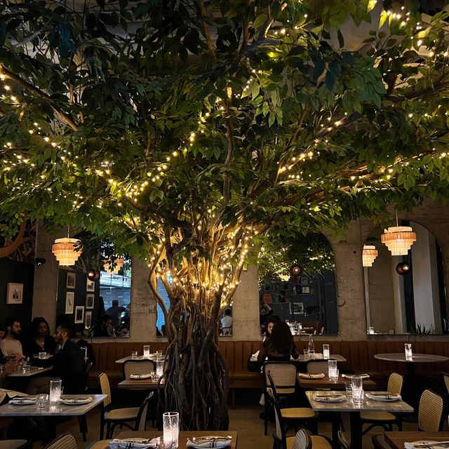 Pigeon Café & Bar King Street Updated 2024, European Restaurant in