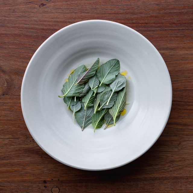 Alcalde Restaurant Guadalajara, JAL OpenTable