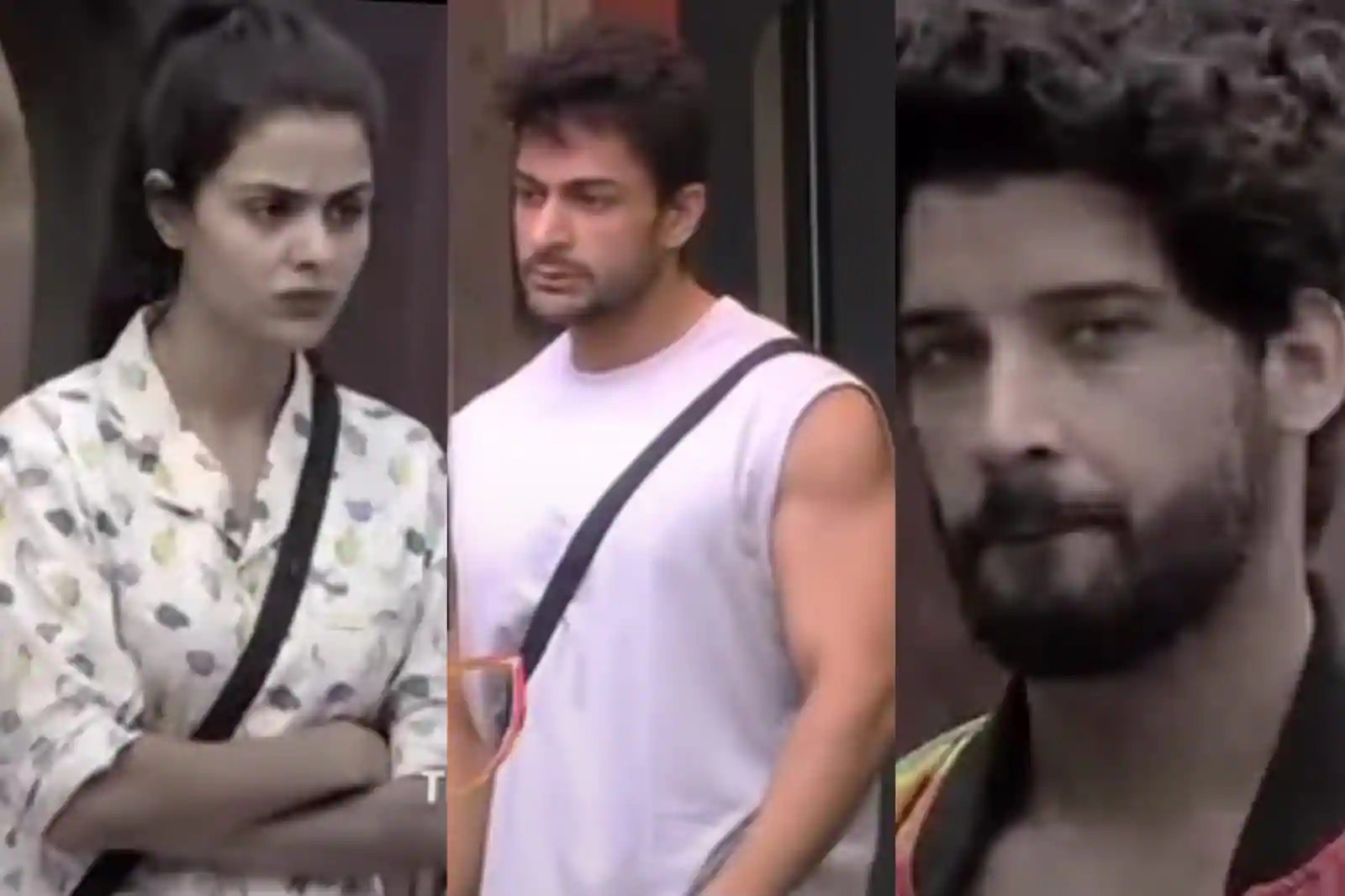 Bigg Boss 16 promo ShalinPriyanka war over food; can Gautam hold on