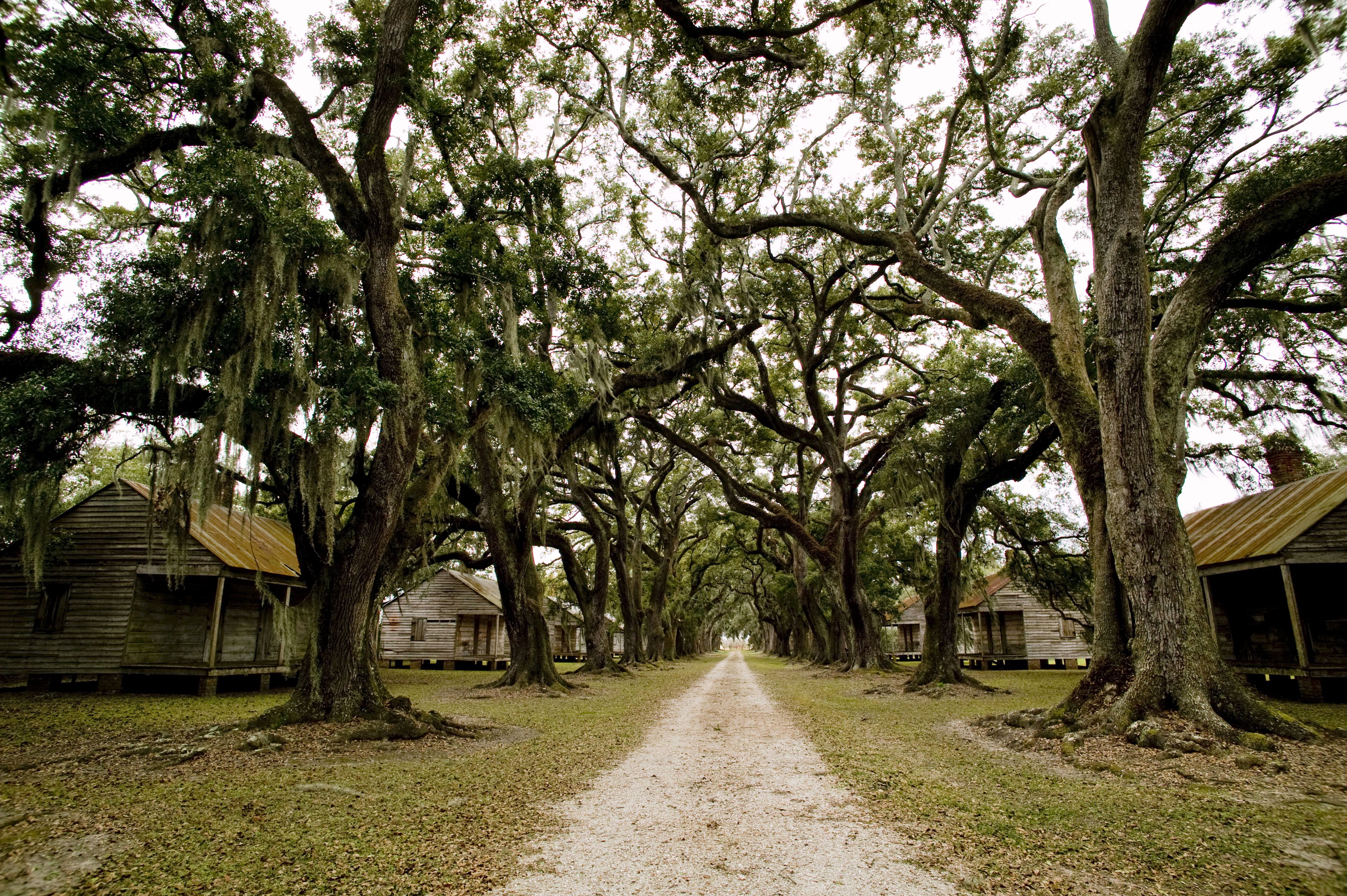 Black Twitter Reacts To SlaveryThemed ‘PreWedding’ Photoshoot News BET