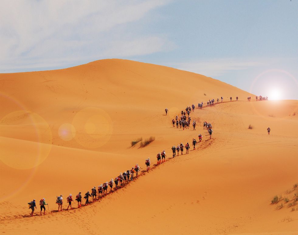 news Colney Lane parkrun