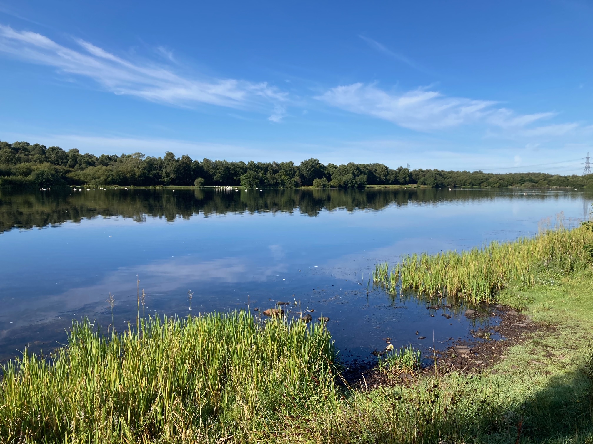Drumpellier Country parkrun Event 83 Report Drumpellier Country parkrun