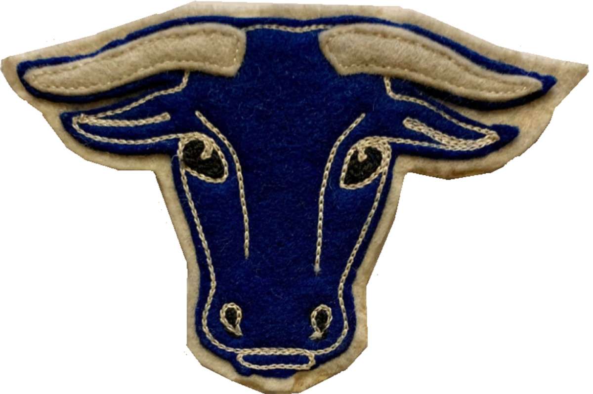 26 Blue Ox (26A) PatchVault