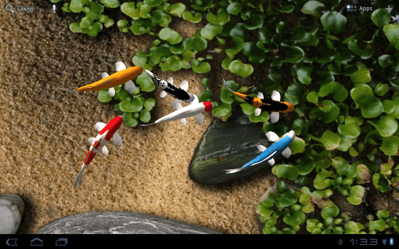 Koi Free Live Wallpaper PC Astuces