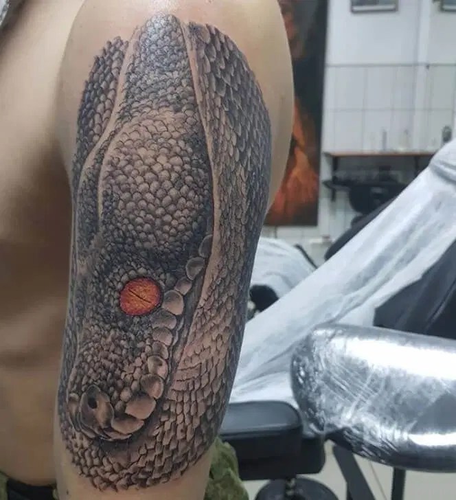 33 Coolest Python Tattoo Designs PetPress