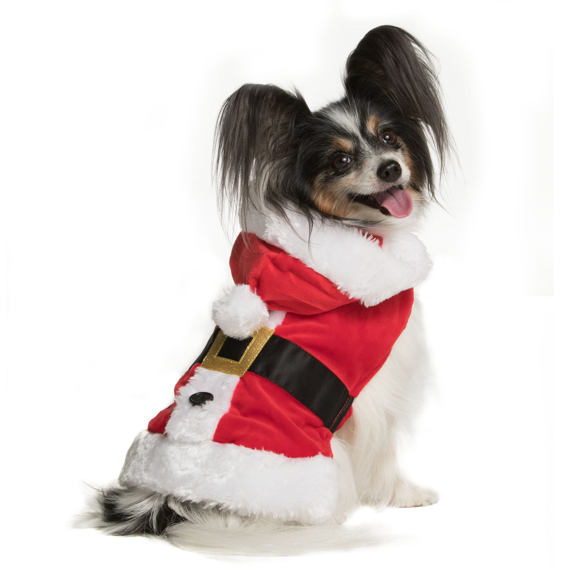 My Favorite Large Dog Christmas Costumes! Balance & Blessings