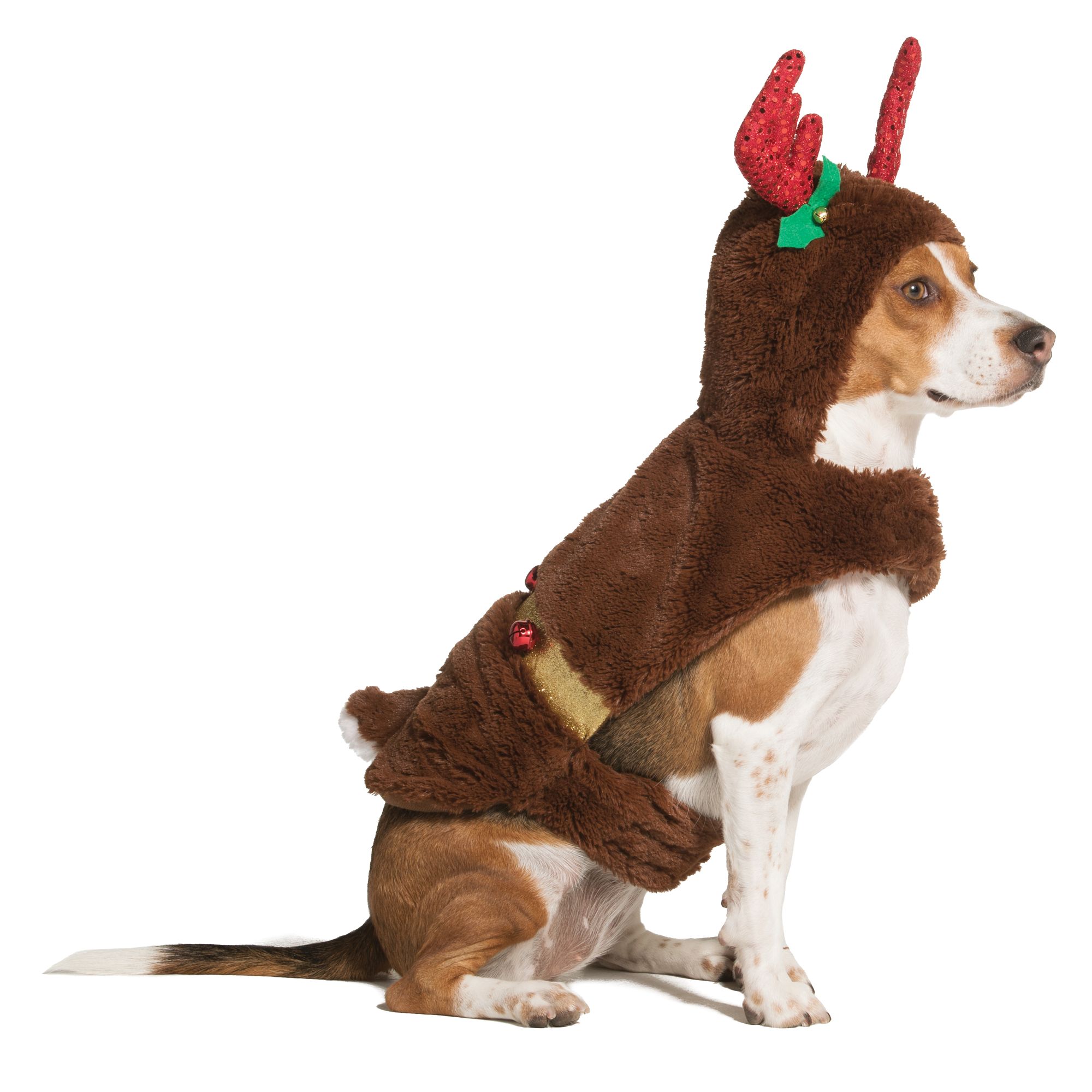 My Favorite Large Dog Christmas Costumes! Balance & Blessings