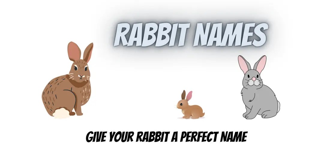Rabbit Names 300+ Best Bunny Names [September 2024]