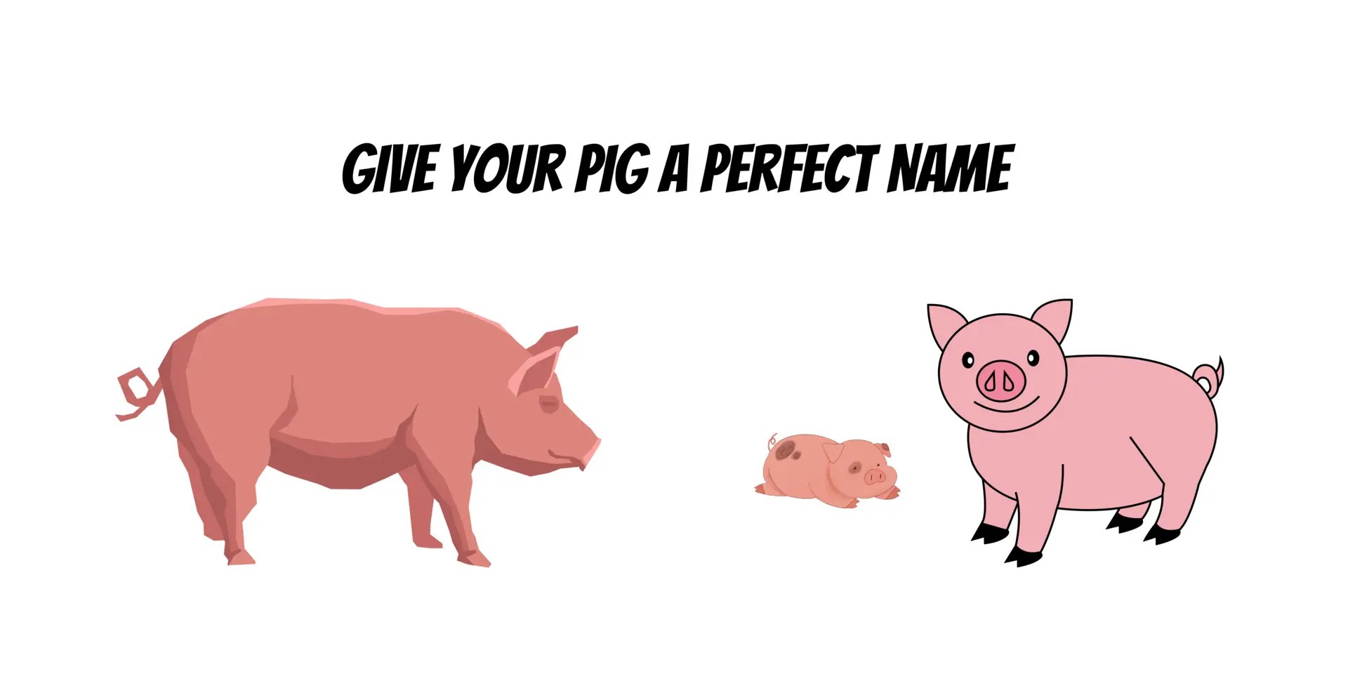 Pig Names 550+ Best Names in Different Categories [2024]