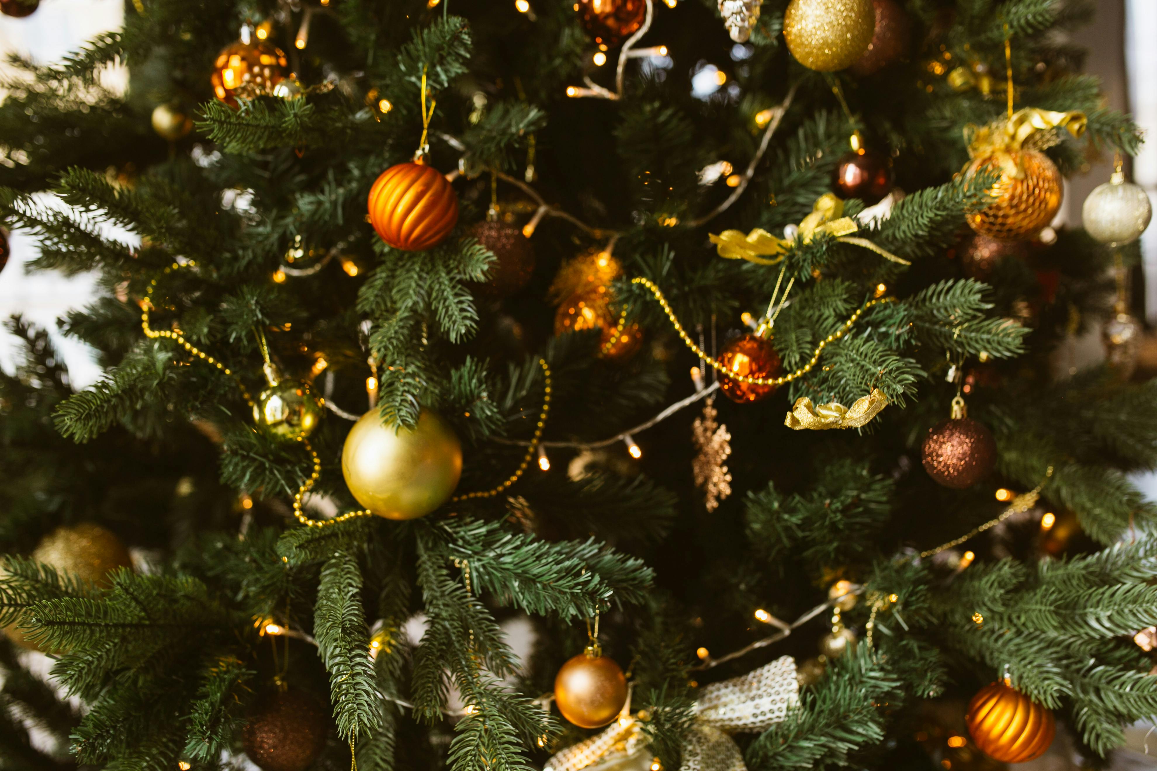 Christmas Tree With Decorations · Free Stock Photo