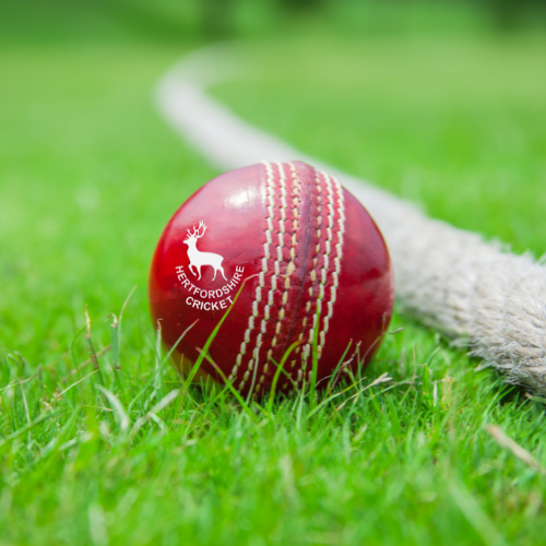 Hertfordshire Cricket News HERTFORDSHIRE BOYS PERFORMANCE SQUAD