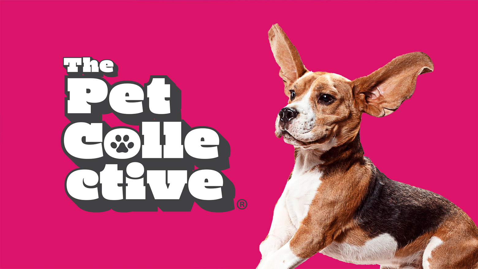 The Pet Collective på Pluto TV