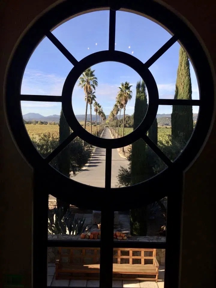 Holiday Wines Steel Magnolias a podcast on all things Southern