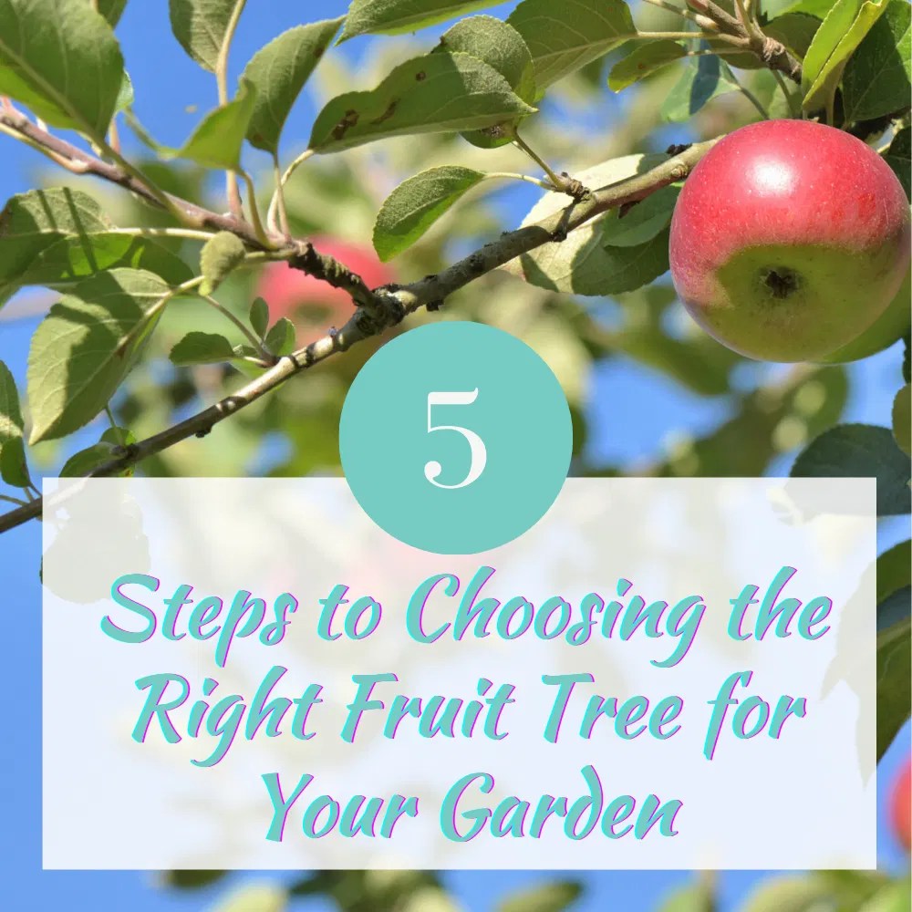 Five Steps to Choosing the Right Fruit Tree for Your Garden Just Grow