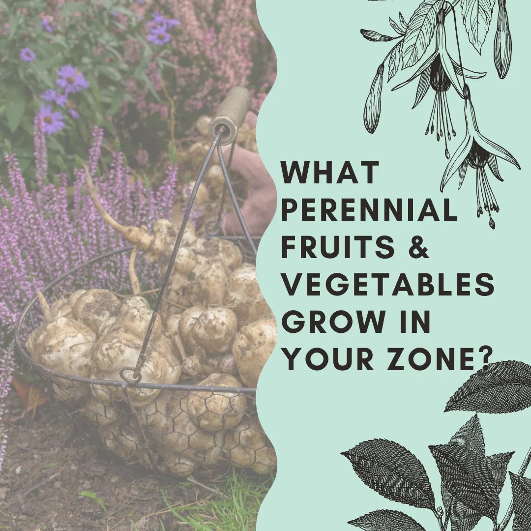 What Perennial Fruits and Vegetables Grow in Your Zone? Just Grow