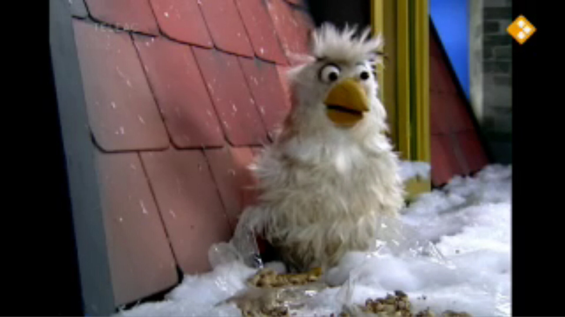 Schooltv Huisje Boompje Beestje Dieren in de winter