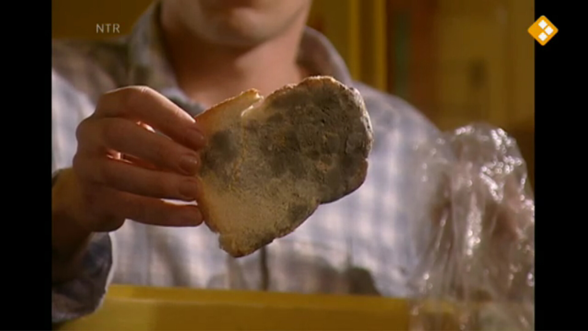 Schooltv Huisje Boompje Beestje Schimmels op je brood