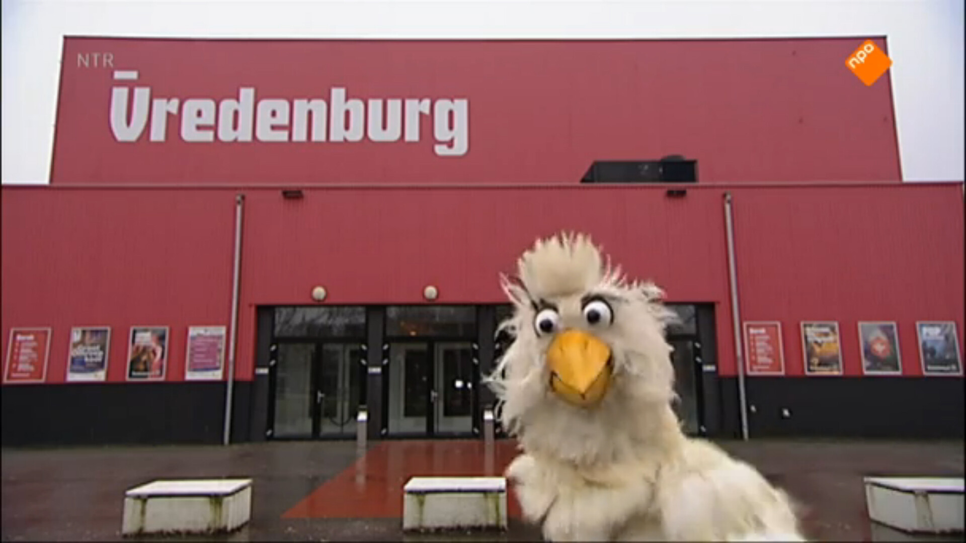 Schooltv Huisje Boompje Beestje Raaf kan niet zingen