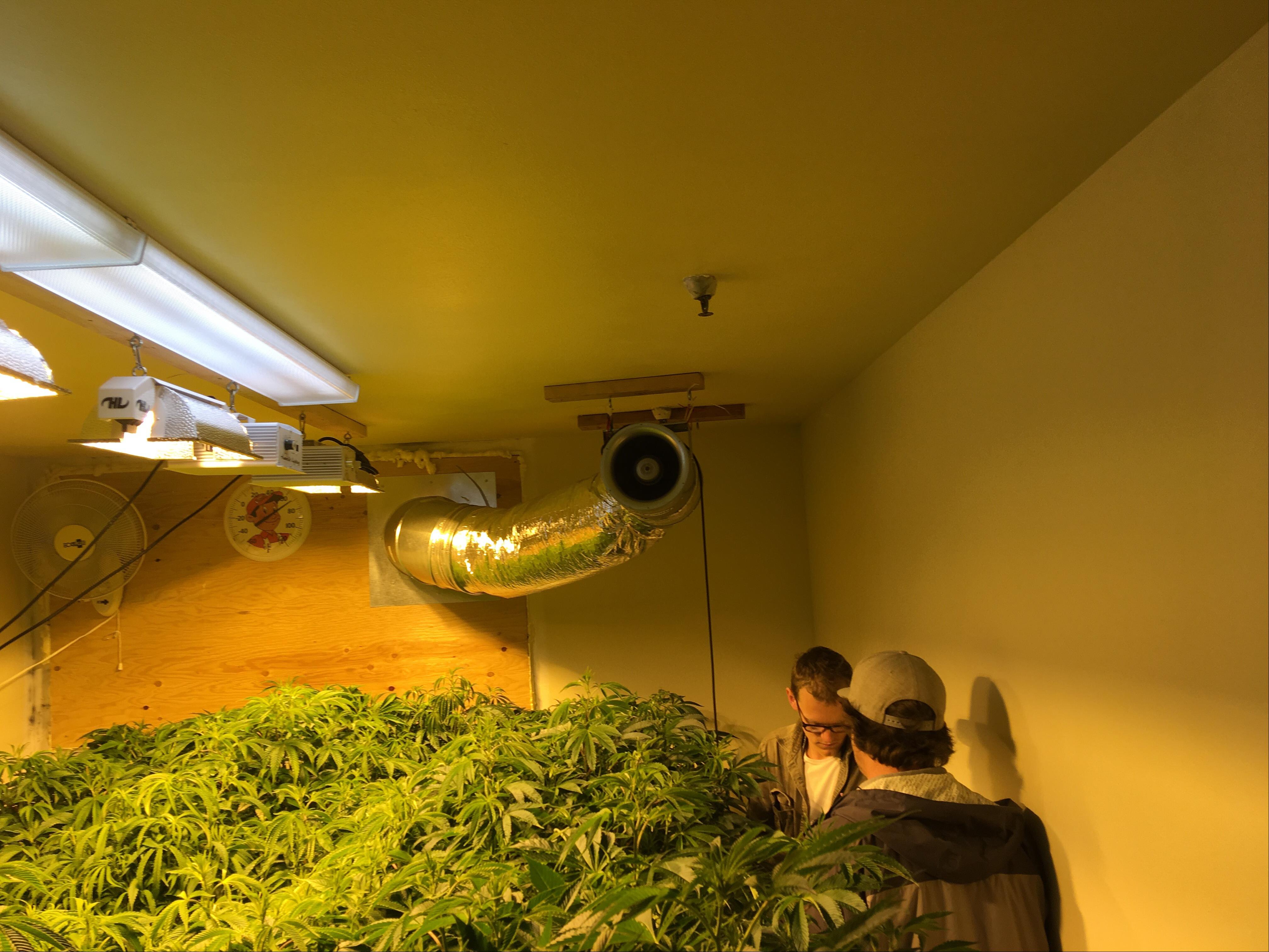 Humboldt Farm Tour by Humboldt Cannabis Tours