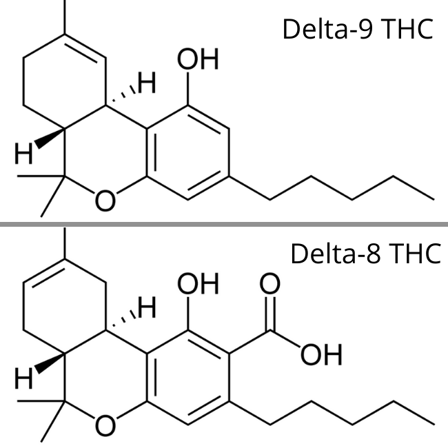 Delta 8 vs Delta 9 vs 10 & 11: Popular THC Variants Compared