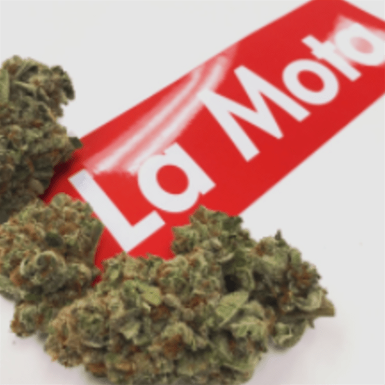 La Mota Medford Riverside Marijuana Dispensary in Medford