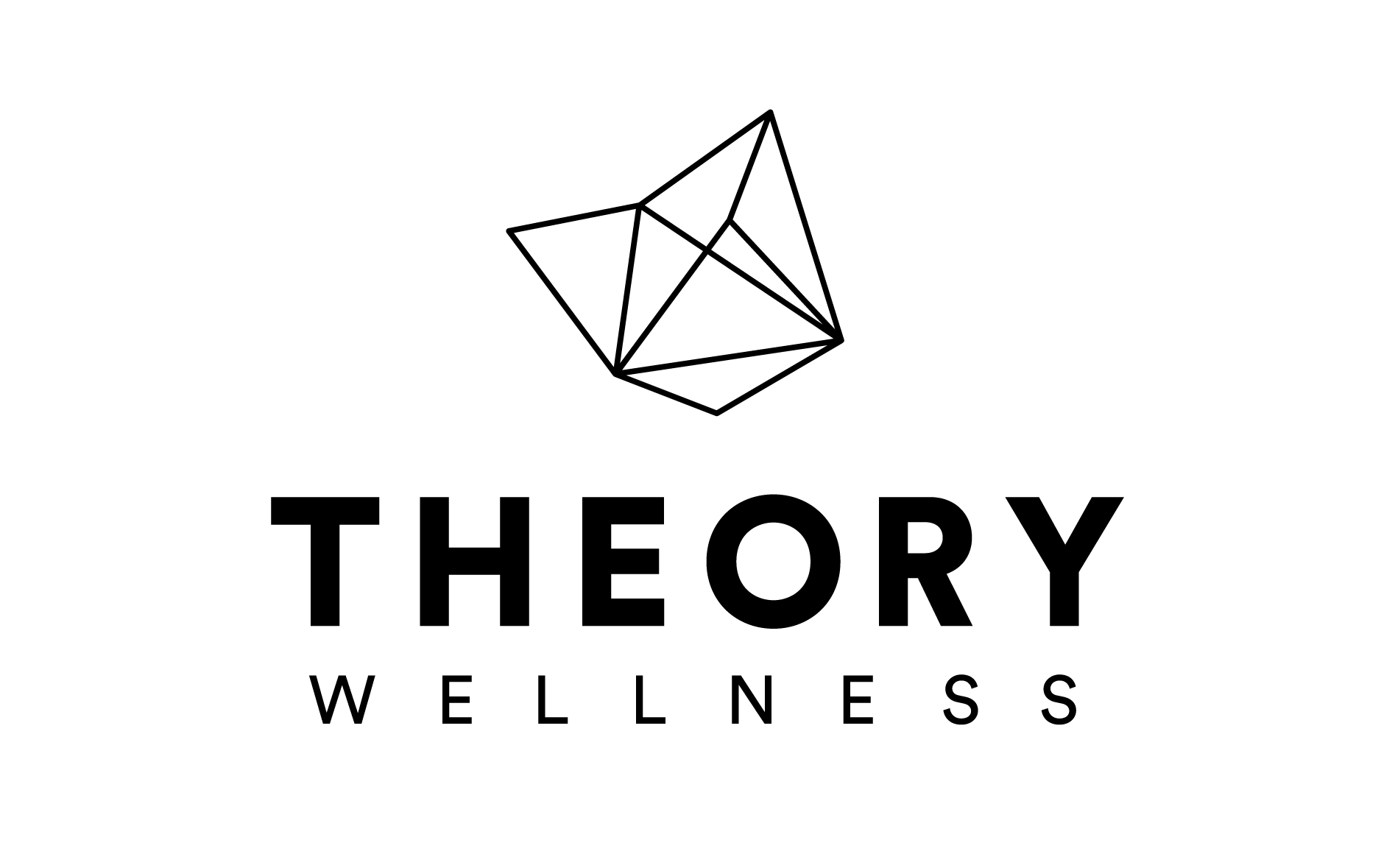 Theory Wellness Brattleboro Recreational Cannabis Dispensary