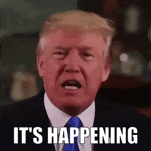 Big Dog's Boom Boom Room Message Board Msg 34248273