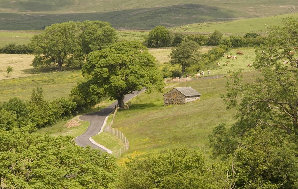 Luxury Holiday Cottages in Lake District & Cumbria, The Hyning Estate