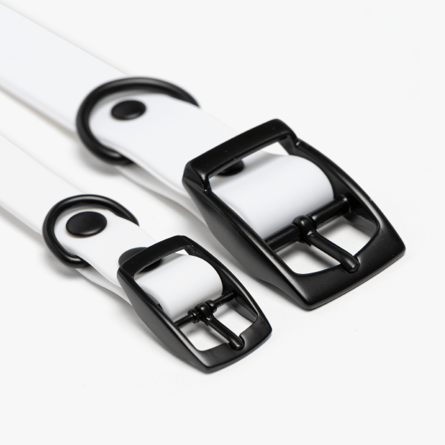 Personalized Dog Collar CustomPrinted, Hypoallergenic