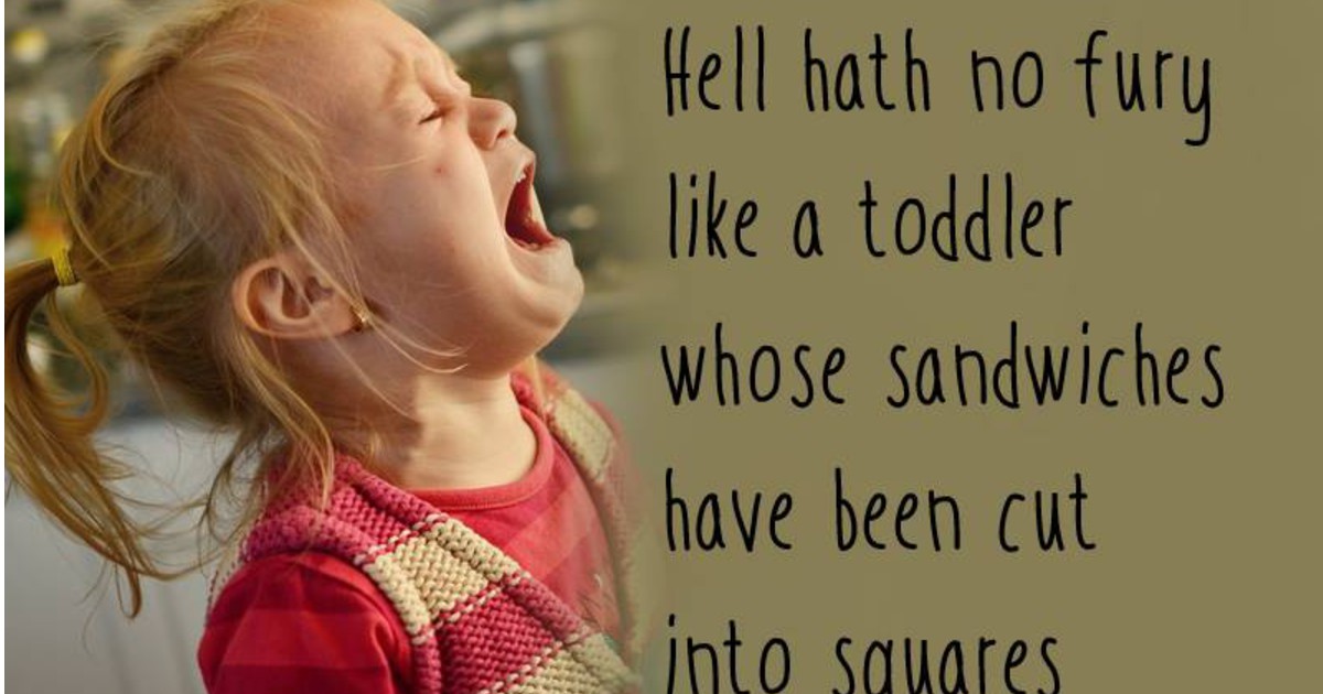 Hell hath no fury like a toddler who Netmums