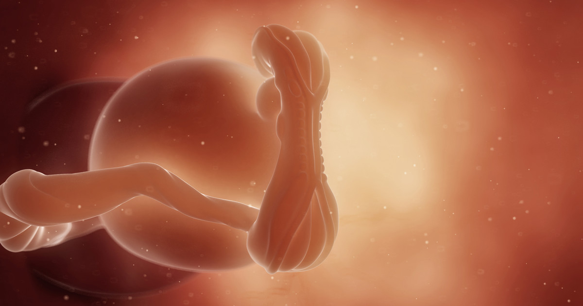 5 Weeks Pregnant Pregnancy WeekByWeek Netmums