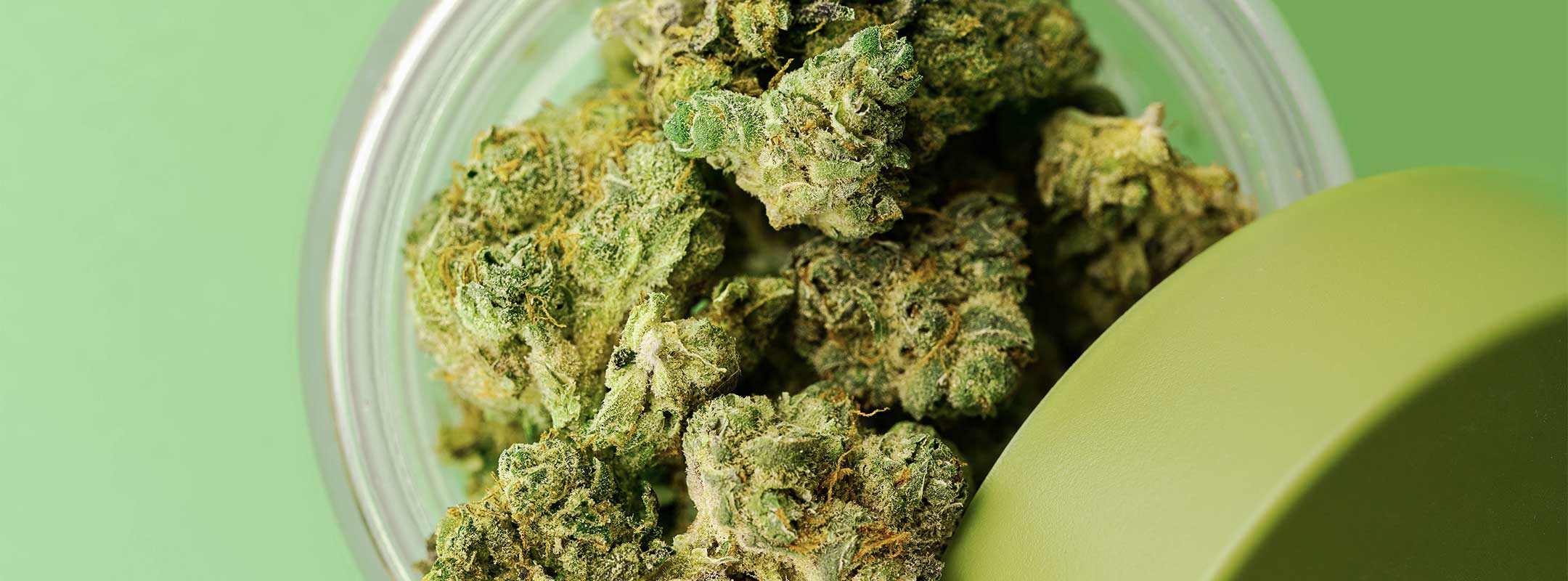 Cresco Premium Cannabis Flower Strains Sunnyside Dispensaries