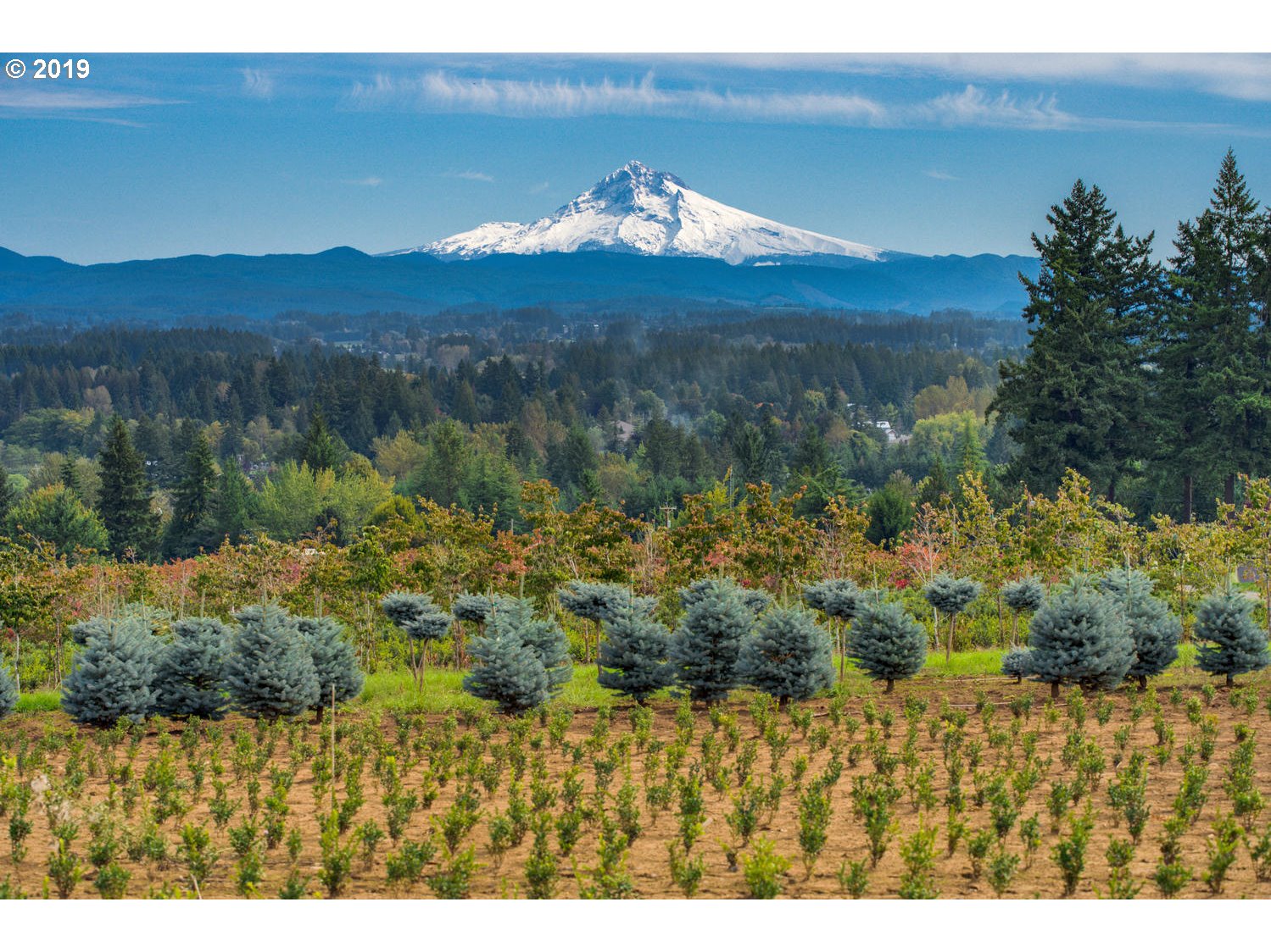 damascus Oregon Homes for Sale