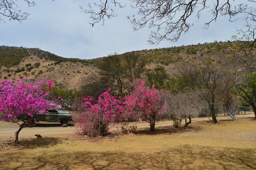 Farm for sale in Pearston Rural P24104501692