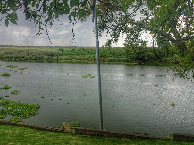 Farm for Sale in Orkney