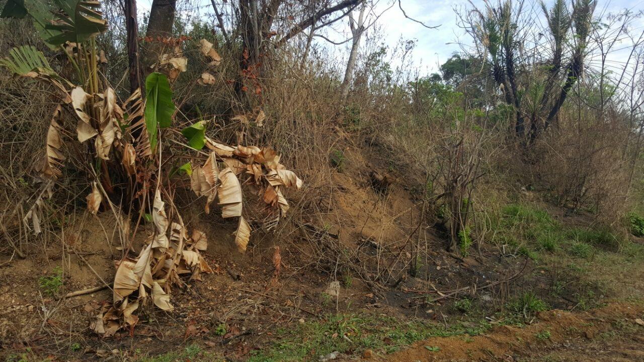 Vacant land / plot for sale in Ramsgate P24105510034