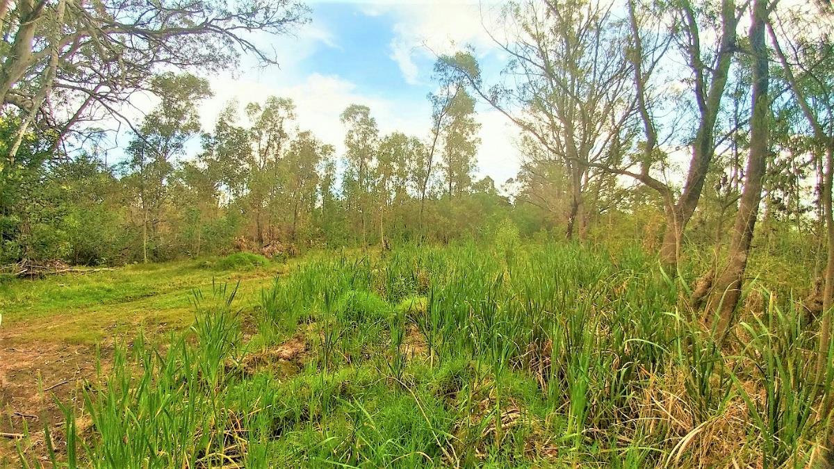 Vacant land / plot for sale in Greenbushes 12 Old Cape Road P24