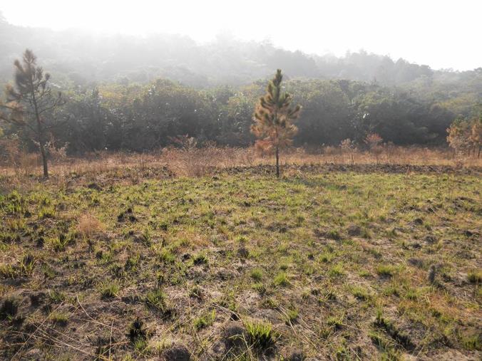 Vacant Land / Plot for Sale in Margate