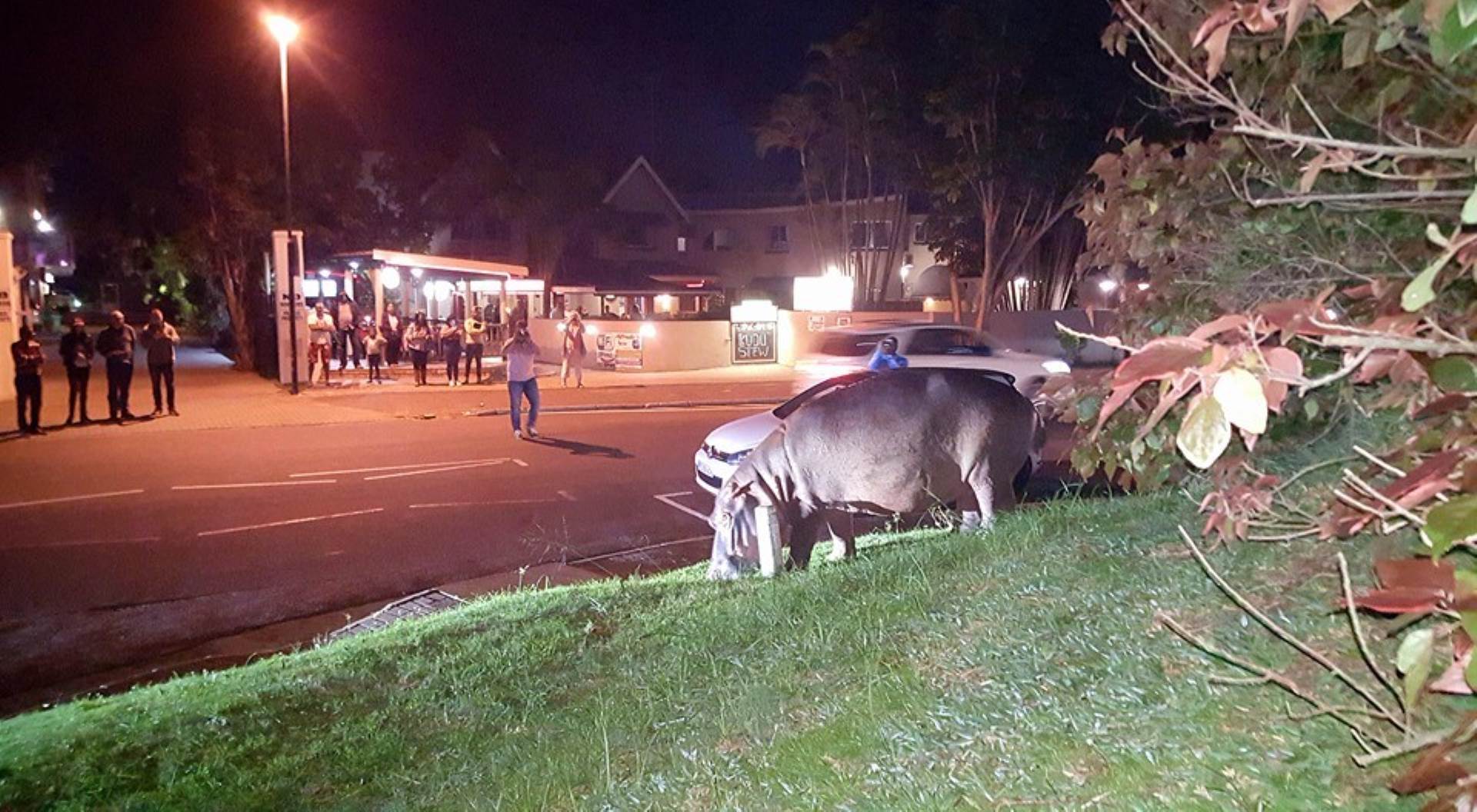 Commercial property for sale in St Lucia P24105922762