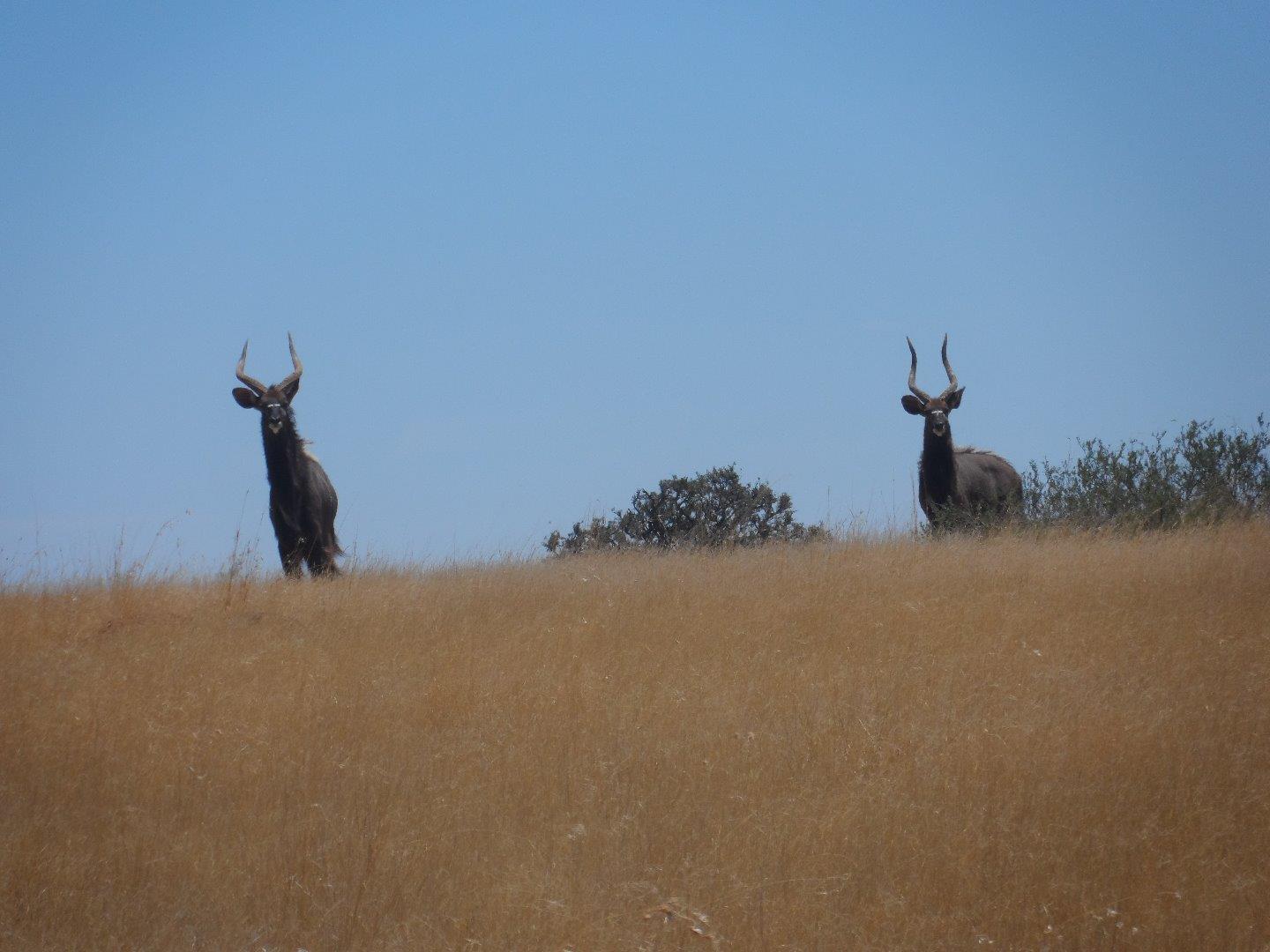 Vacant land / plot for sale in Bloemfontein Rural P24106022543