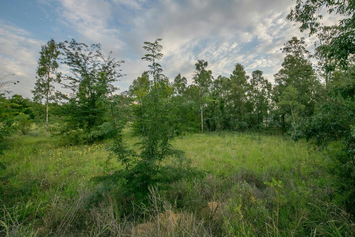 Blair Atholl Golf Estate Property Property and houses for sale in