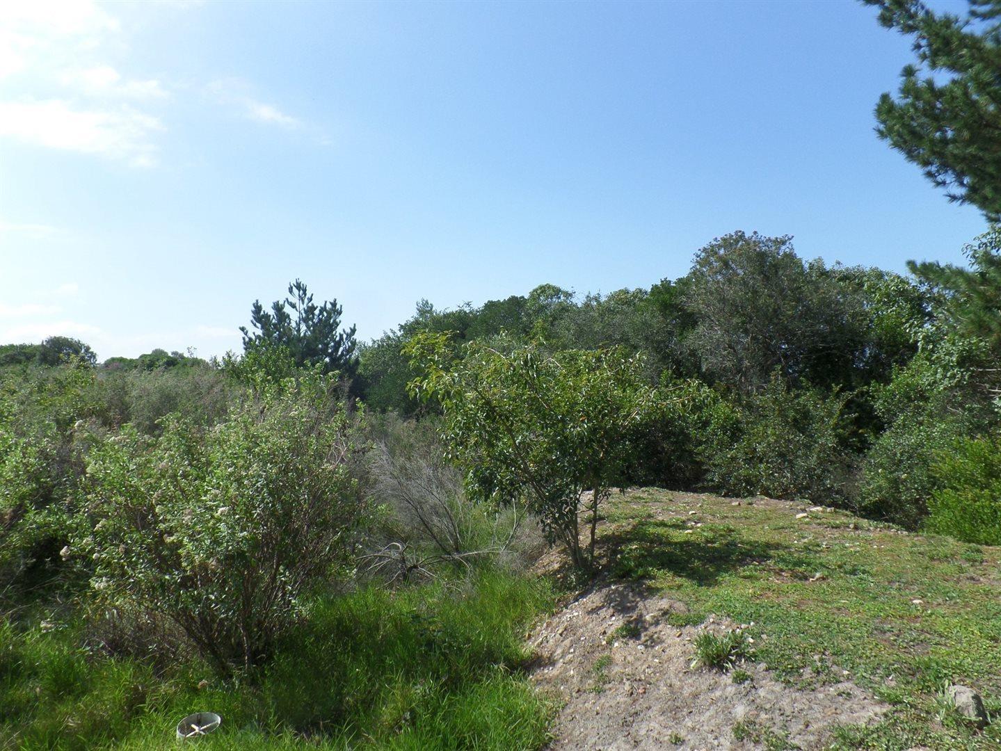 Property and houses for sale in Wilderness Wilderness Property