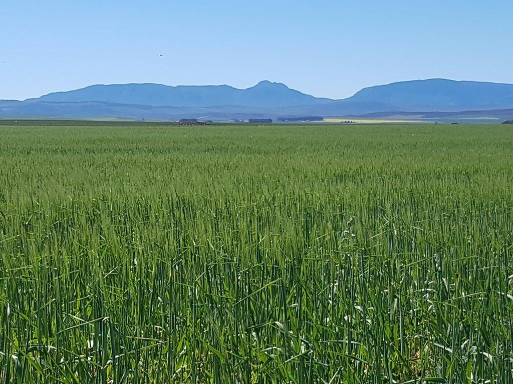 Farms for sale in Riversdale Riversdale Property
