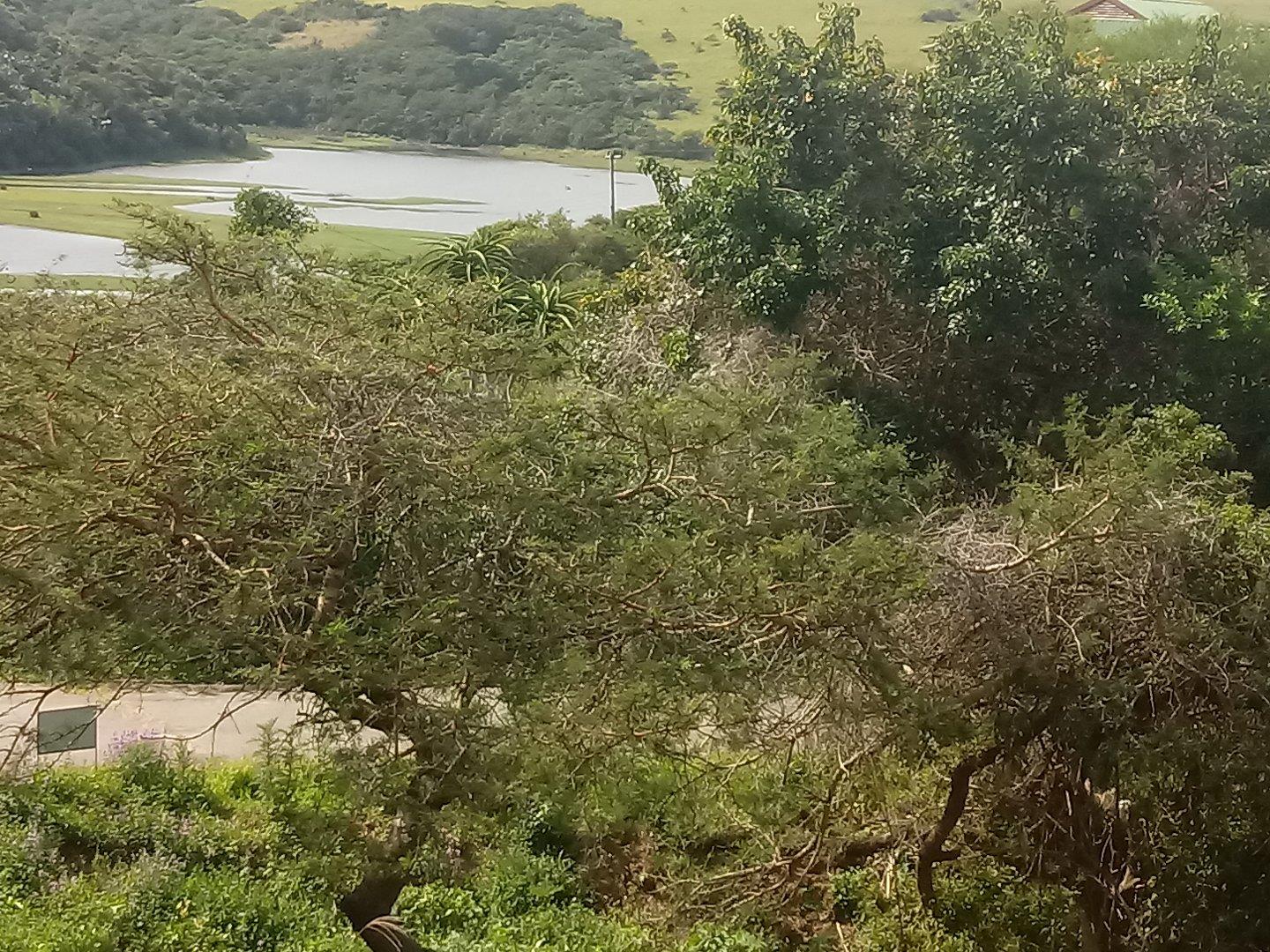 Vacant land / plot for sale in Bay 317 Tanglewood Road P24