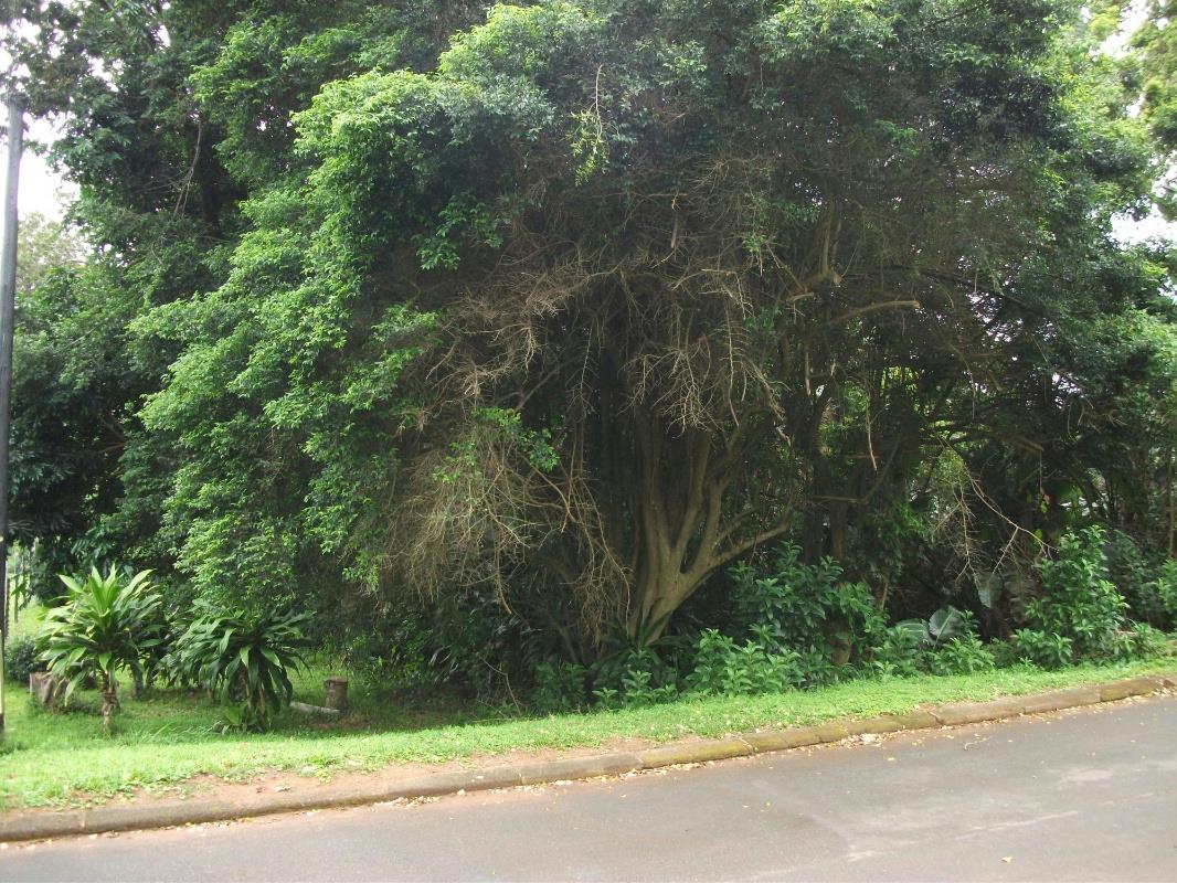 Property and houses for sale in Trafalgar Trafalgar Property