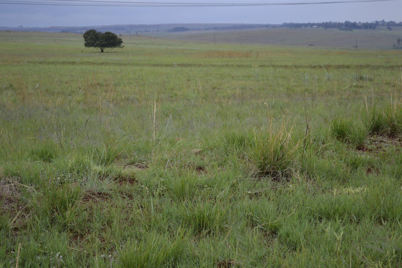 Vacant land / plots for sale in Witbank Witbank Property Property24